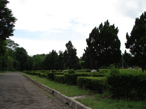 DSC00156